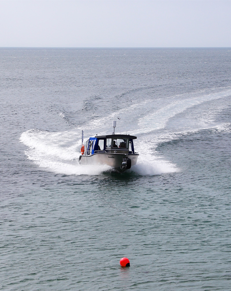 Glansteffan Ferry Cruising in Carmarthen Bay